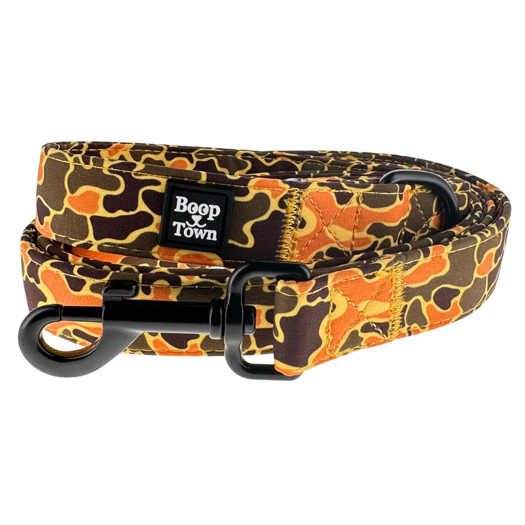 Dog Leashes